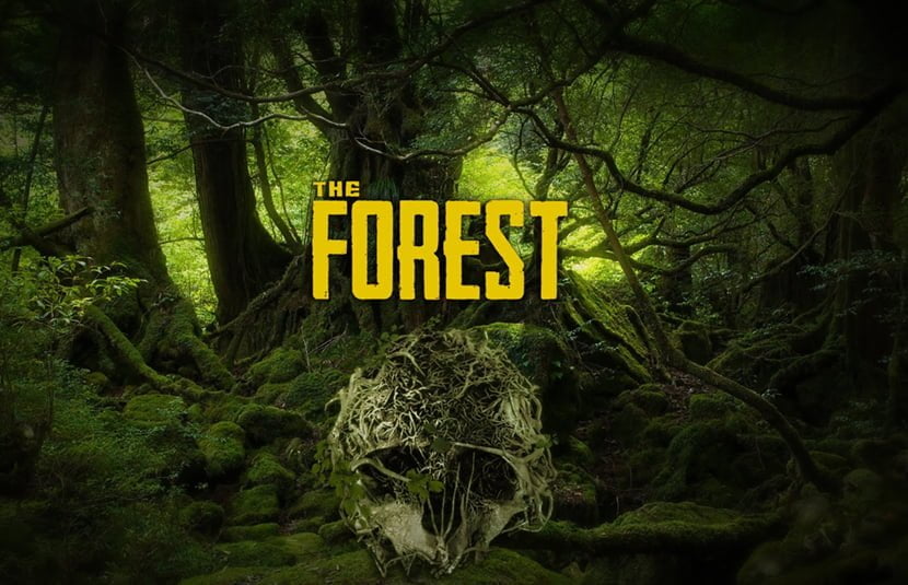 The Forest Update Version 1.13 New Patch Notes PS4 Full Details Here 2019