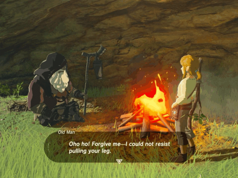 The Legend of Zelda Breath of the Wild Switch 2 Edition Review