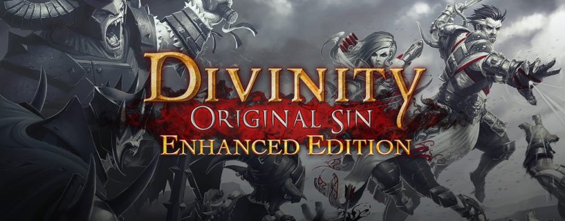 Divinity Original Sin Enhanced Edition Full Version