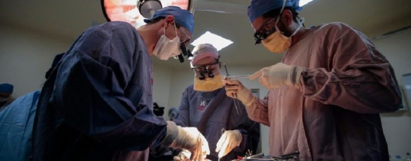 Incredible! Successful Transplant of Kidney from Pig to Human Body in the United States