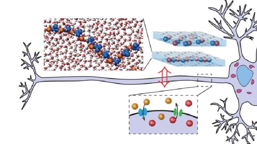 Artificial Neurons